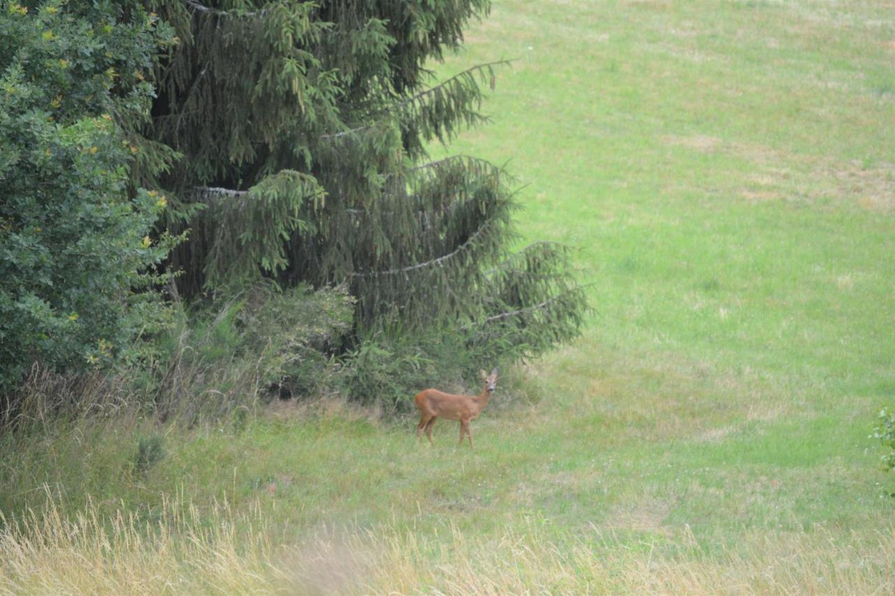 B&B Prosterath-Hochwald Buitenkant foto