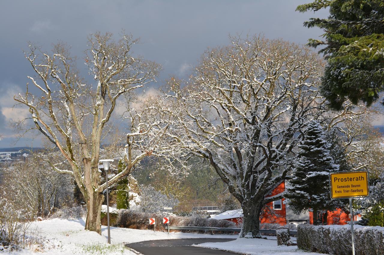 B&B Prosterath-Hochwald Buitenkant foto