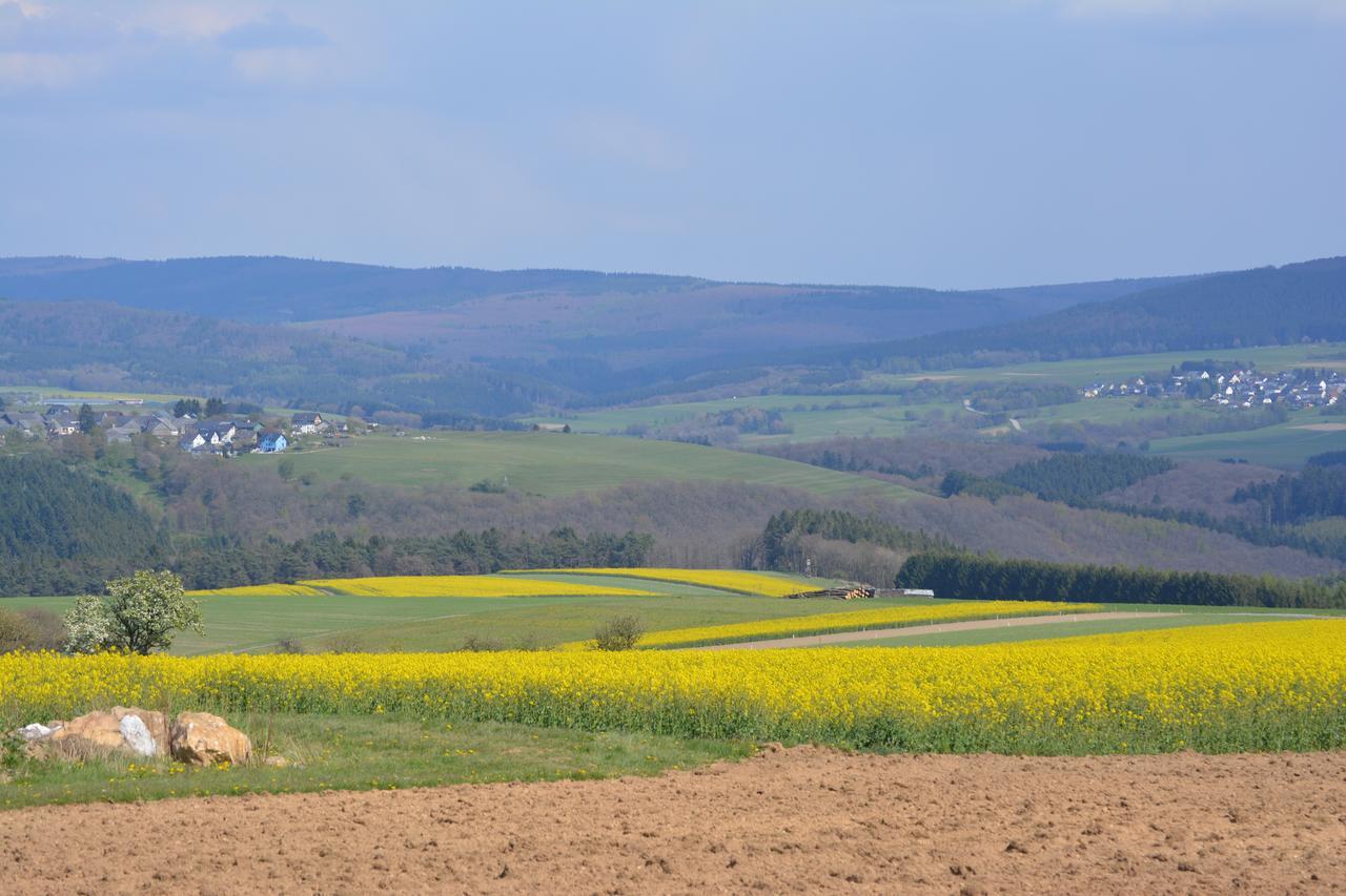 B&B Prosterath-Hochwald Buitenkant foto