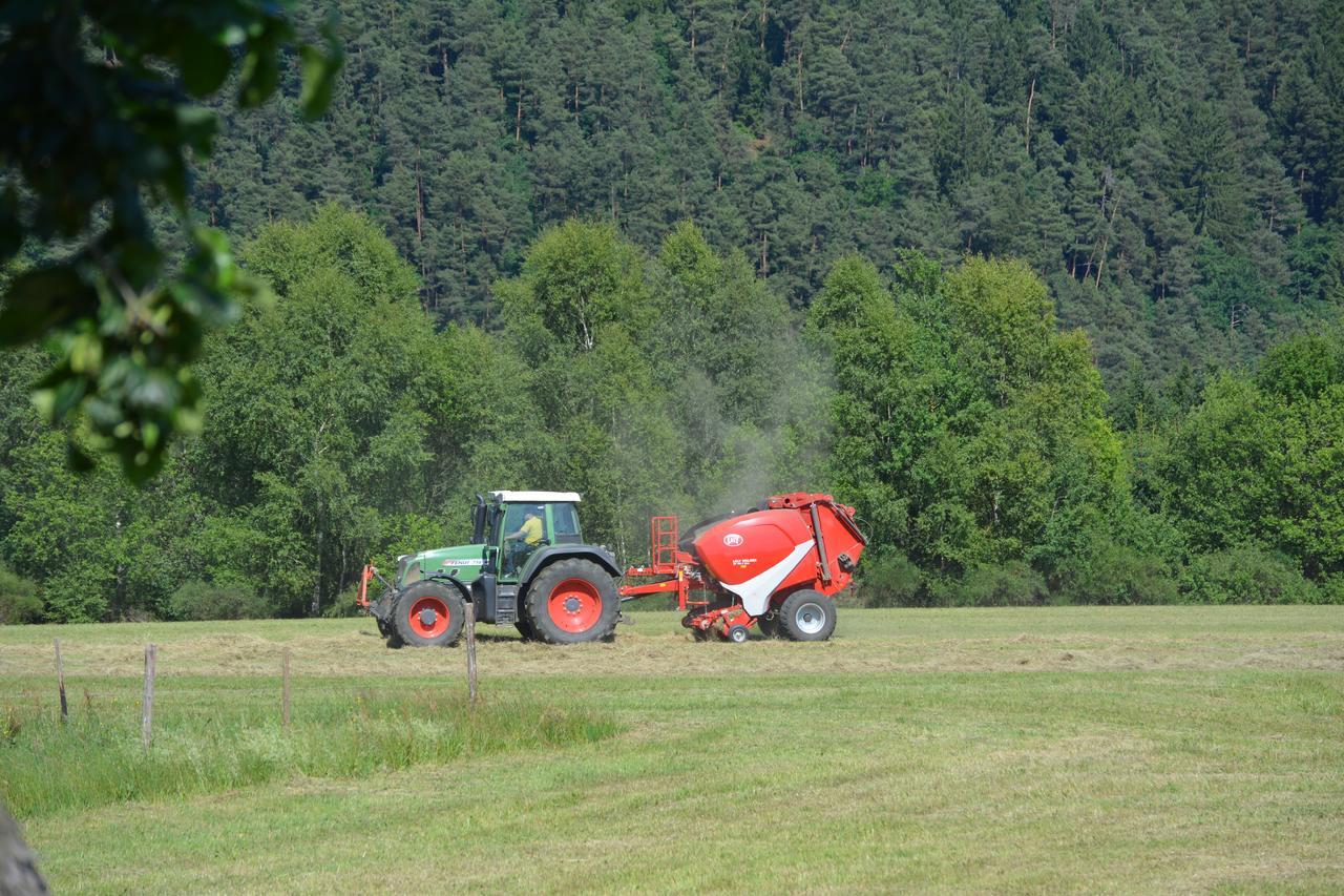 B&B Prosterath-Hochwald Buitenkant foto